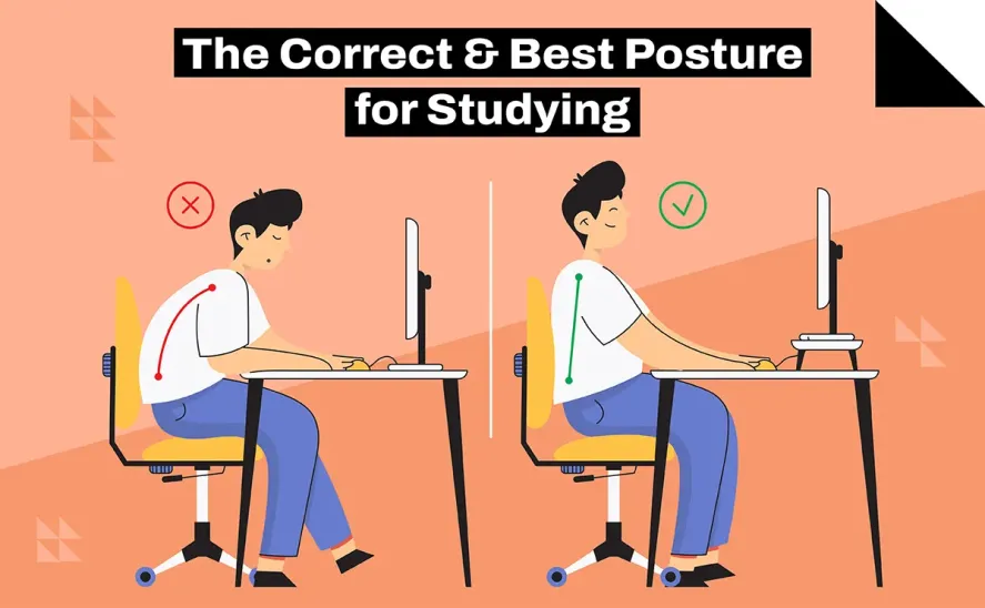 Best Posture for Studying