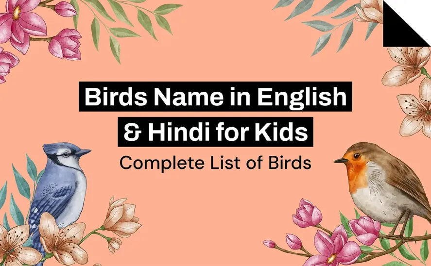Birds Name in English & Hindi for Kids