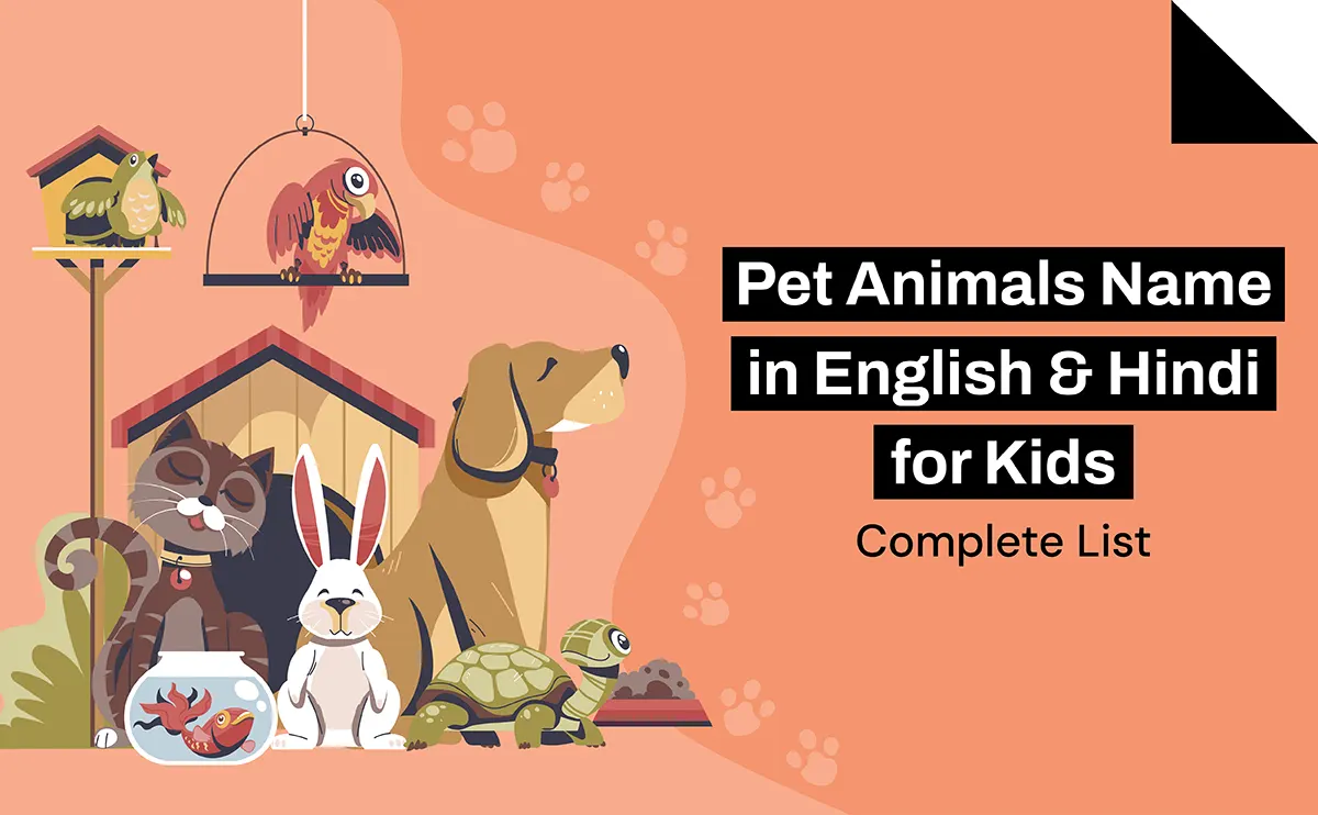 Pet Animals Name in English & Hindi for Kids