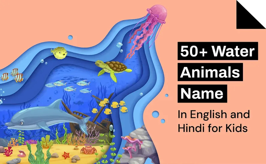 Water Animals Name